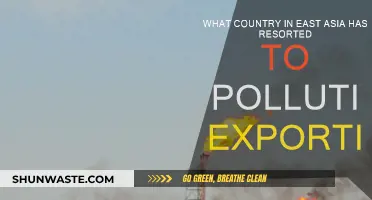 East Asian Country's Pollution Export Problem
