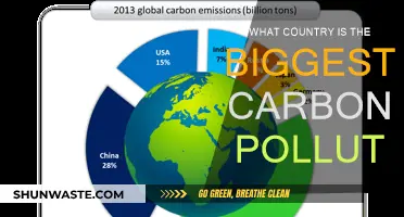Which Country is the Top Carbon Polluter?
