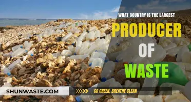 Global Waste Crisis: Which Nation Produces the Most Trash?