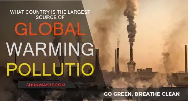 Who is the Biggest Culprit of Global Warming?