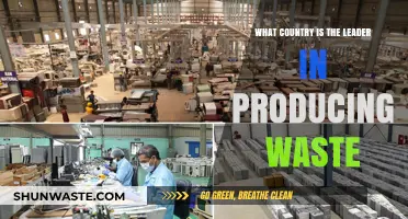 Global Waste Production: Which Country Tops the Trash Leaderboard?