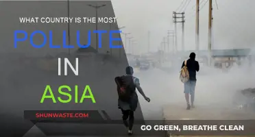 Asia's Most Polluted Country: A Troubling Reality