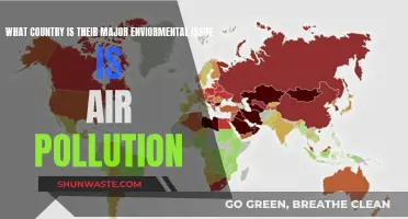 Air Pollution: A Country's Environmental Crisis