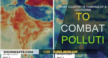 Lockdown to Fight Pollution: Which Country is Next?