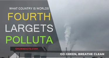 Who's the World's Fourth Largest Polluter?