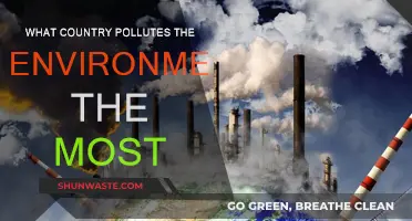 Who's the Worst Environmental Villain?