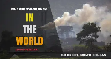 Which Country is the World's Worst Polluter?