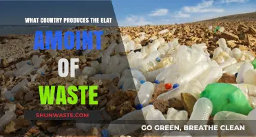 Global Waste Crisis: Which Country Generates the Most Trash?