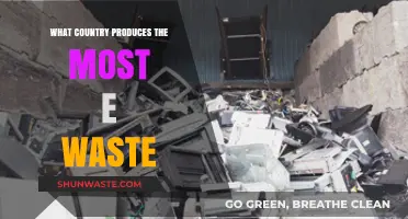 Global E-Waste Leader: Which Country Tops the Electronic Waste Production?
