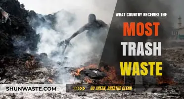 Global Trash Crisis: Which Nation Bears the Heaviest Waste Burden?