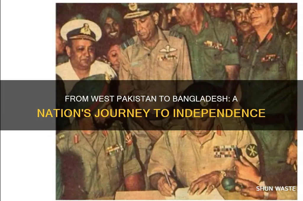 what country was formerly known as wast pakistan