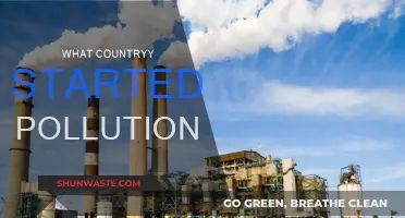 Who Polluted First? The Origins of Pollution