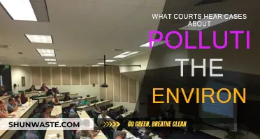 Pollution Cases: Which Courts Decide Environmental Fate?