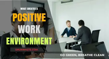 Fostering Productivity: Key Elements for a Positive Work Environment