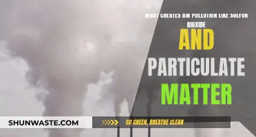 How Sulfur Dioxide and Particulate Matter Pollute Our Air