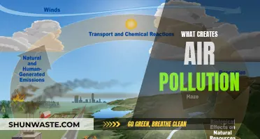 Sources of Air Pollution and Their Impact