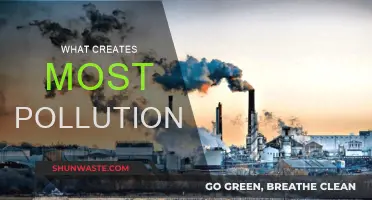 Human Activities: The Root of Pollution