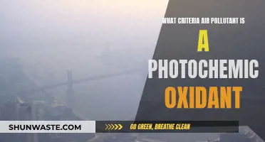 Air Pollution: Photochemical Oxidant Criteria