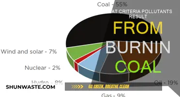 Coal Burning: Understanding the Criteria Pollutants and Their Impact