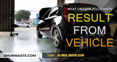 Vehicle Emissions: Understanding Criteria Pollutants