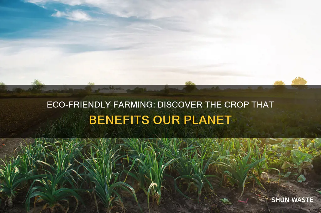 what crop is not bad for the environment