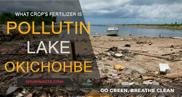 Lake Pollution: Fertilizer Runoff from Crop Fields