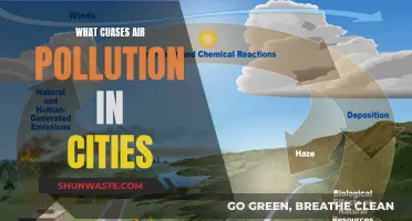 Urban Air Pollution: Causes and Concerns