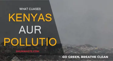 Air Pollution in Kenya: Causes and Concerns