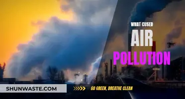 The Dark Side of Industrialization: Air Pollution's Causes