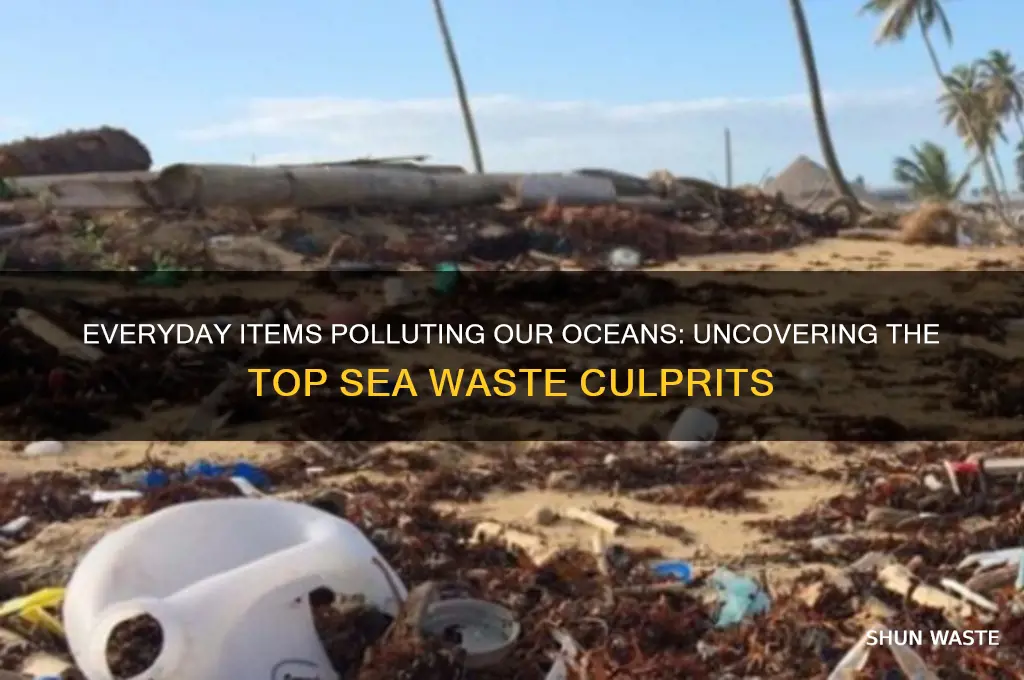 what daily objects cause the most waste in the sea