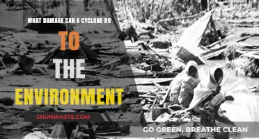 Cyclone's Environmental Impact: Devastation, Erosion, and Ecosystem Disruption Explained
