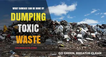The Devastating Impact of Toxic Waste Dumping: A Critical Overview
