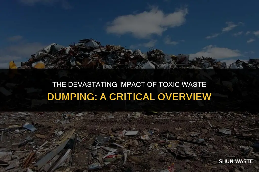 what damage can be done by dumping toxic waste