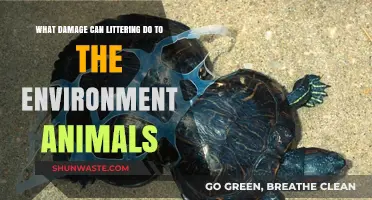 Littering's Devastating Impact: Harming Wildlife, Polluting Ecosystems, and Destroying Habitats