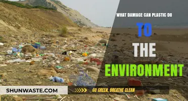 Plastic's Devastating Impact: How It Harms Our Environment and Wildlife