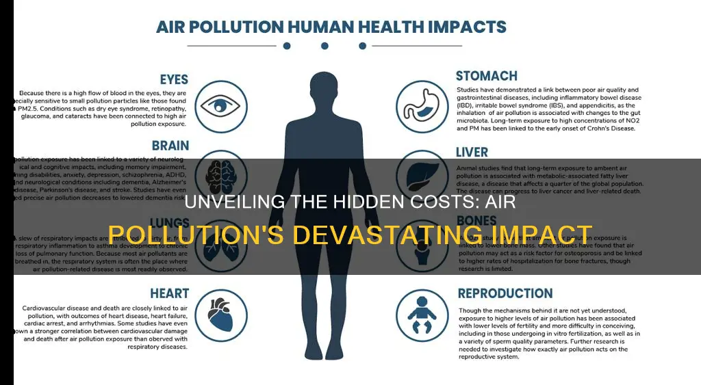 what damage does air pollution cause