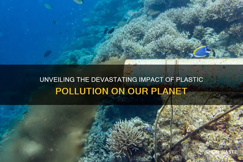 what damage does plastic pollution cause