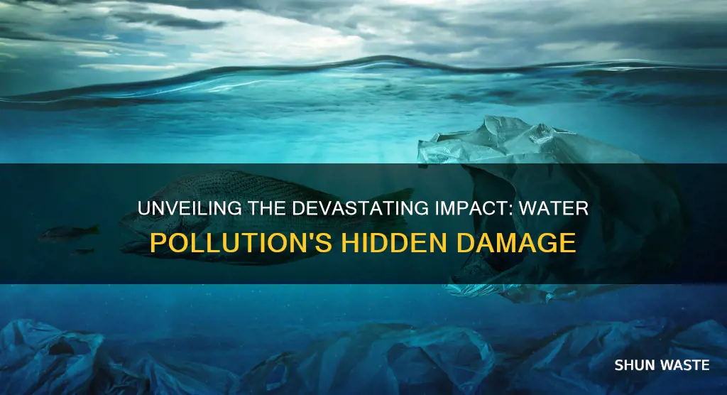 what damage has water pollution caused