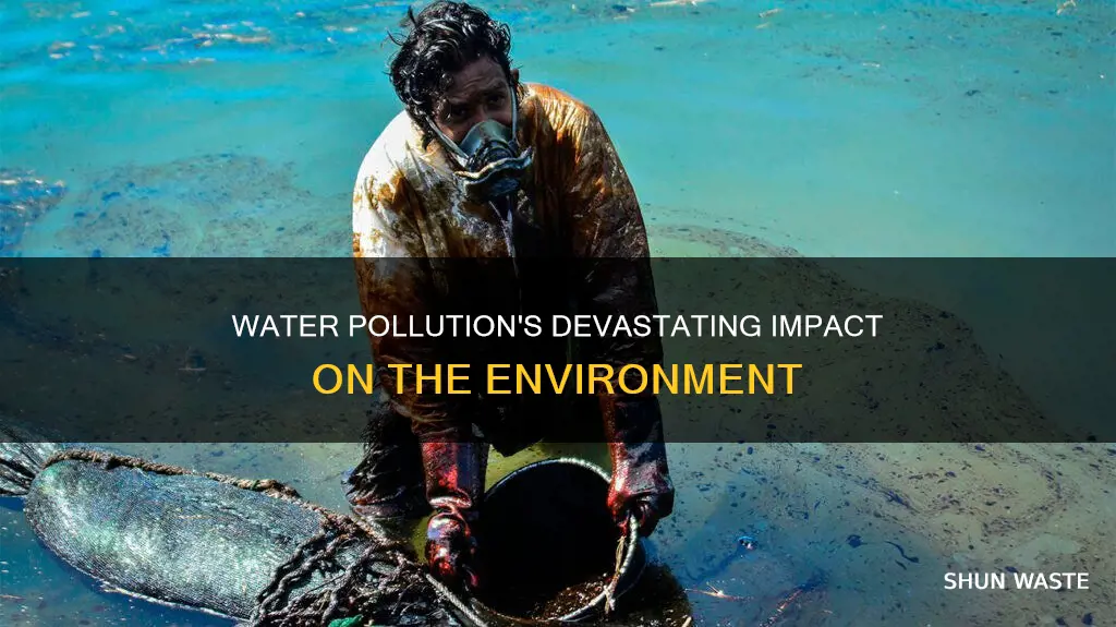 what damage has water pollution caused
