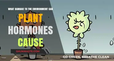 Plant Hormones' Hidden Impact: Unveiling Environmental Damage and Risks