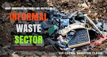 Recycling Risks: Hazardous Materials in Informal Waste Sectors Exposed