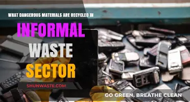 Recycling Risks: Informal Sector's Handling of Hazardous Waste Materials