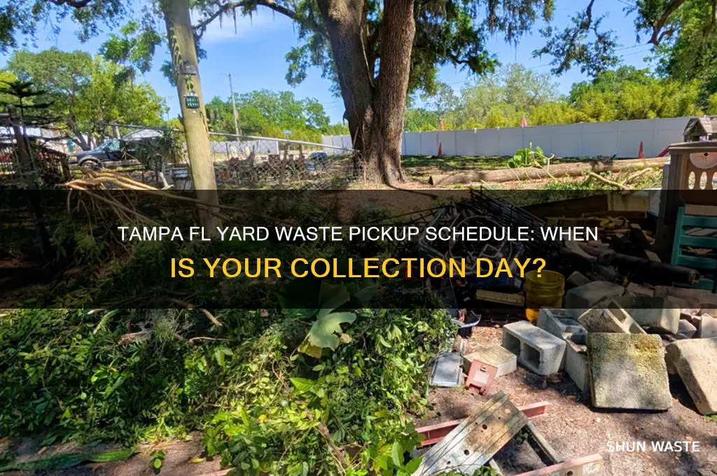 what day is yard waste day tampa fl