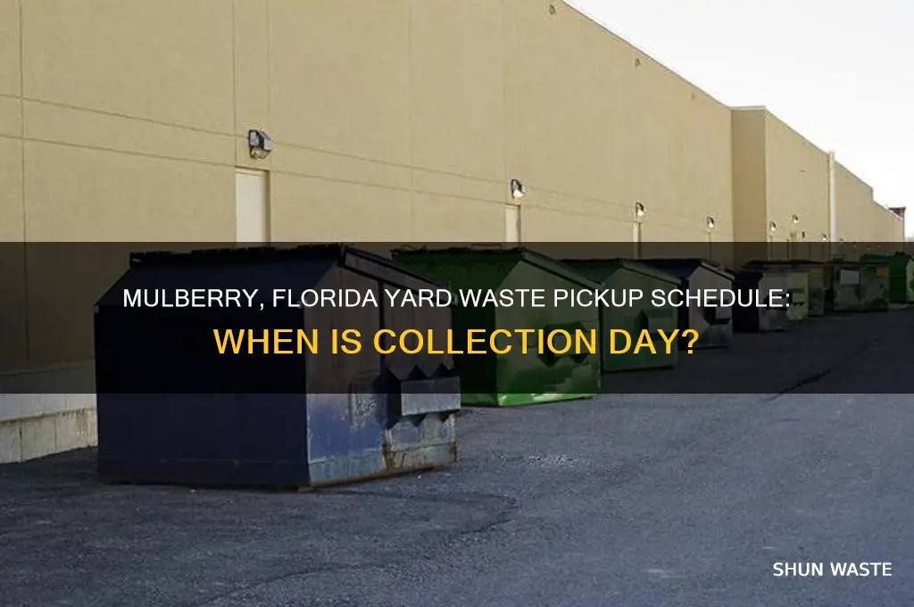what day is yard waste picked up in mulberry florida