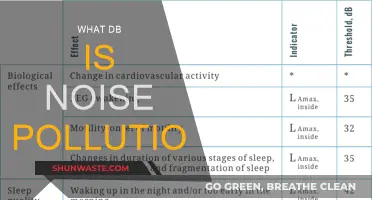 Noise Pollution: A Disturbing Issue