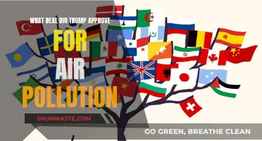Trump's Legacy: Air Pollution Deal