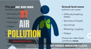 Unveiling the Hidden Dangers: Air Pollution's Impact on Health