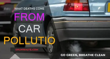Car Pollution: A Silent Killer on Roads
