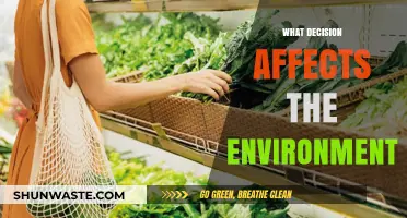 Daily Choices, Global Impact: How Decisions Shape Our Environment