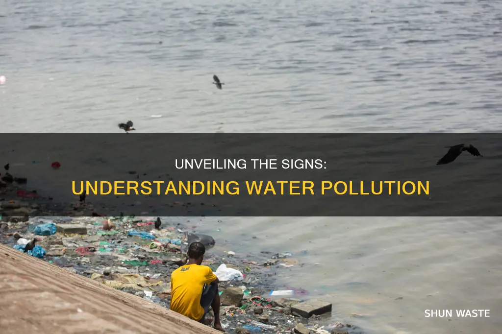 what defines polluted water